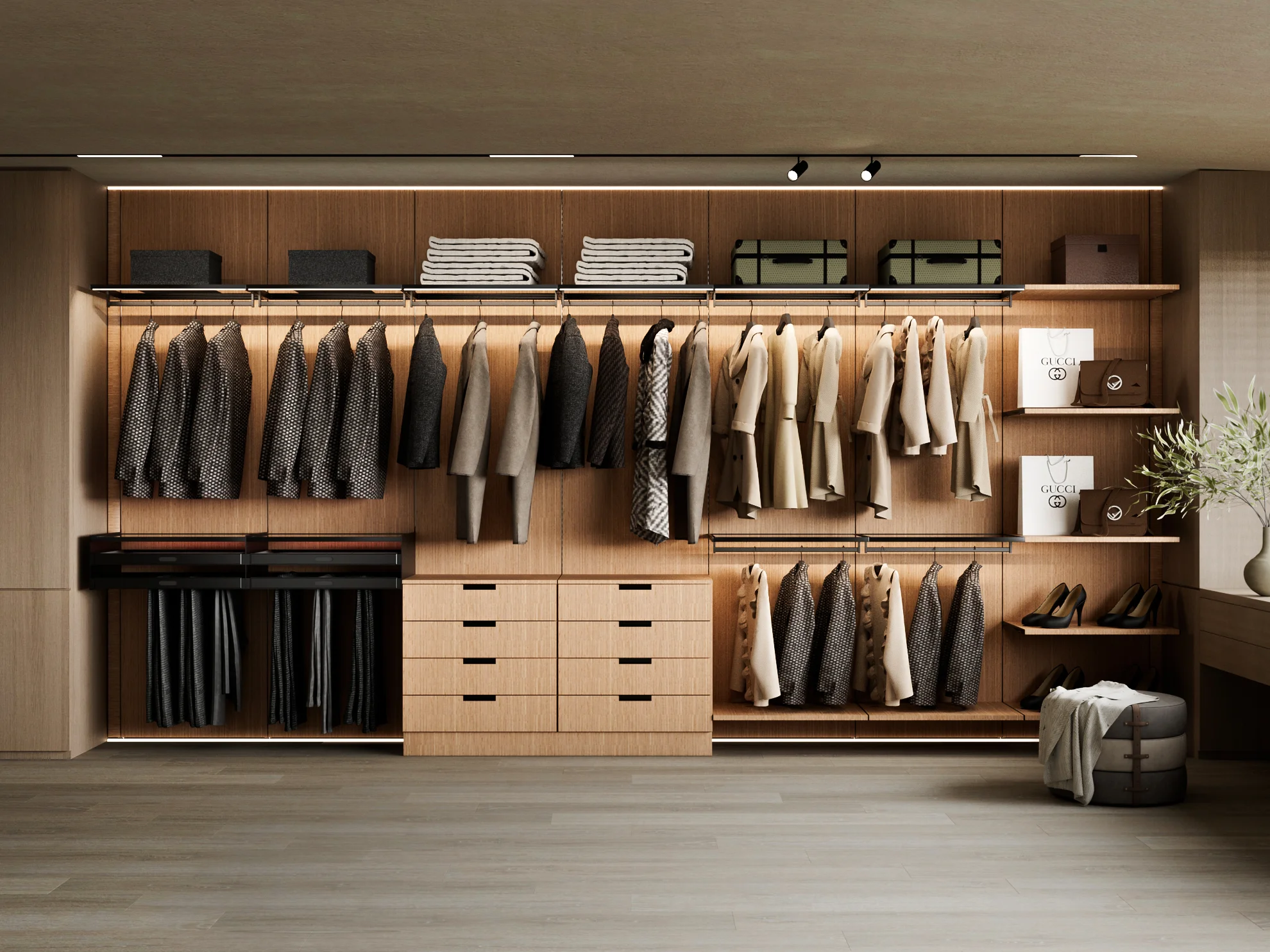 wall mounted closet system (3)